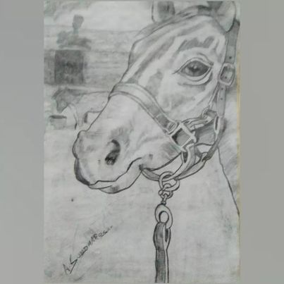 art
